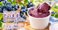 観光農園「ファイブイズファーム」がクラウドファンディングを開始します​