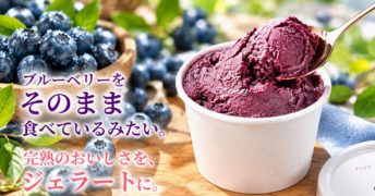 観光農園「ファイブイズファーム」がクラウドファンディングを開始します​